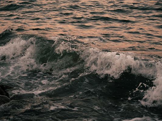 3 naturoplevelser du må opleve i Nordjylland