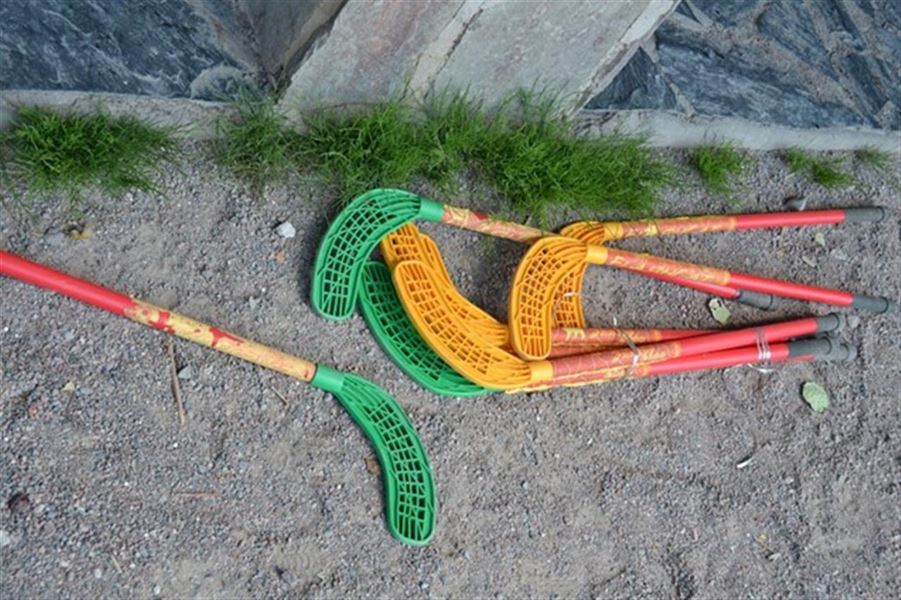 Sådan får du mulighed for at spille floorball hjemme i haven