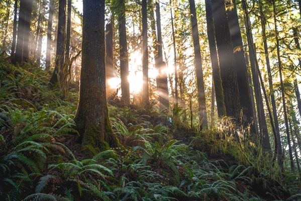 3 ting du ikke vidste om Fjellerup